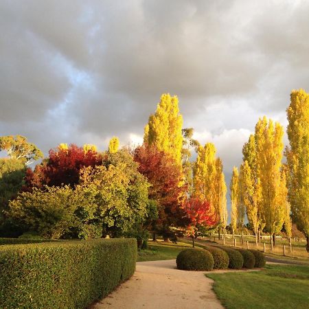 Glen Waverly Farmstay Glen Innes Extérieur photo