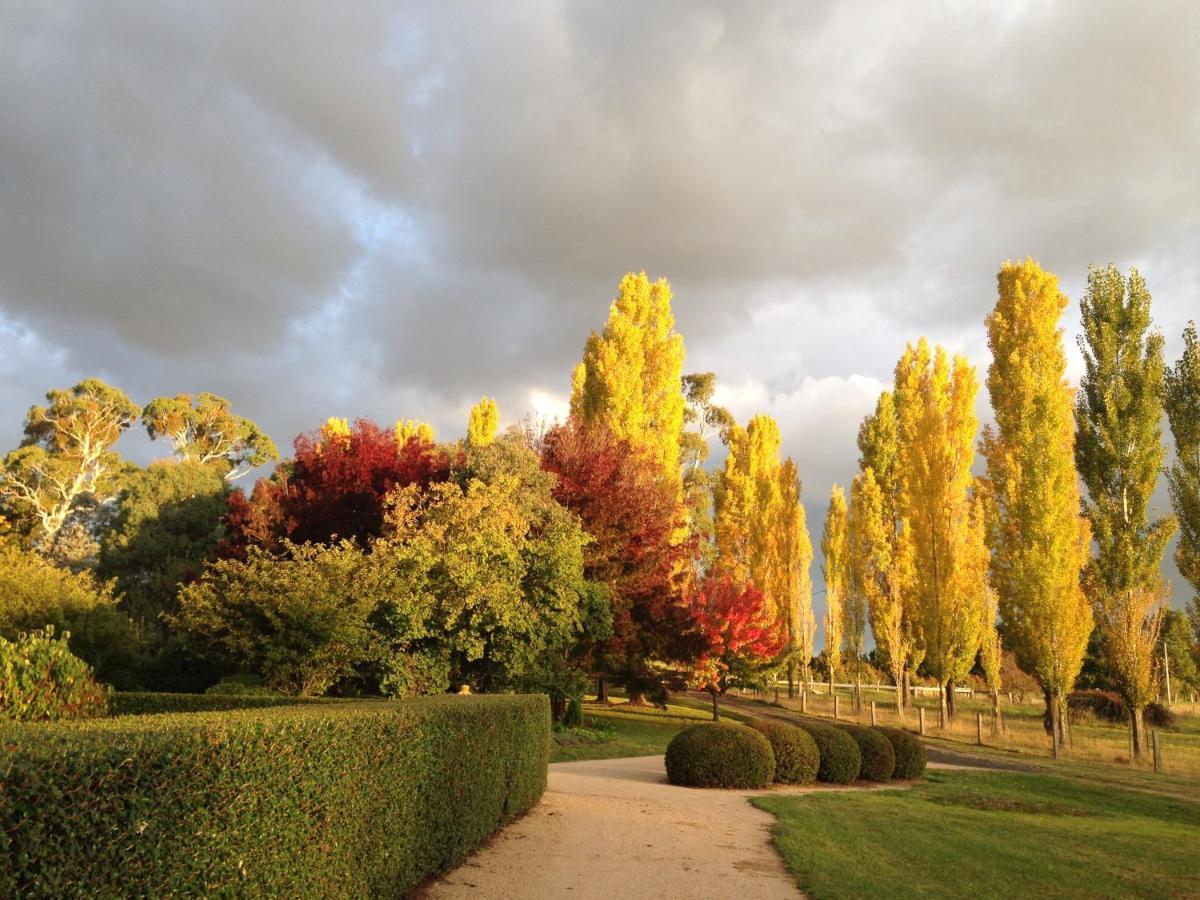 Glen Waverly Farmstay Glen Innes Extérieur photo
