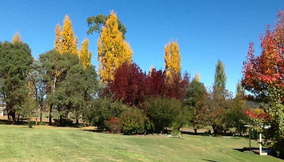 Glen Waverly Farmstay Glen Innes Chambre photo