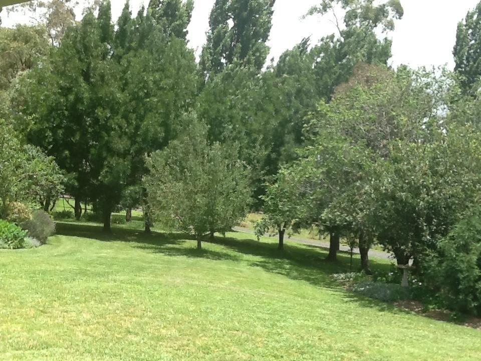 Glen Waverly Farmstay Glen Innes Chambre photo