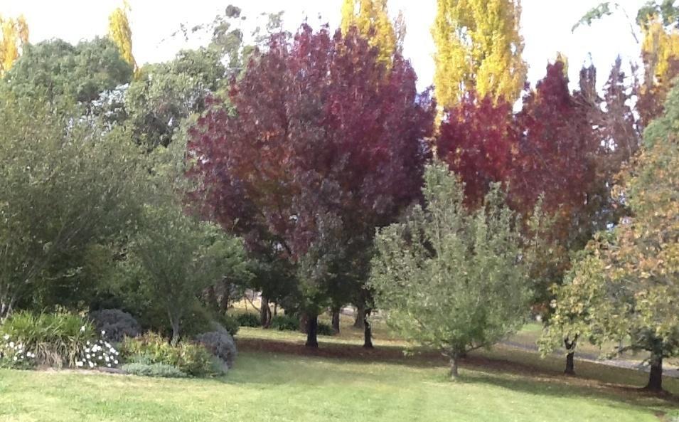 Glen Waverly Farmstay Glen Innes Chambre photo
